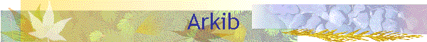 Arkib