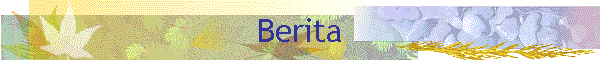 Berita