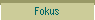 Fokus