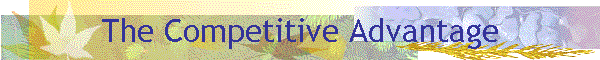 The Competitive Advantage
